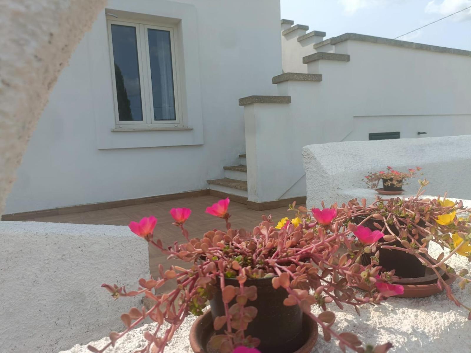 Villa Raffaella Spongano ภายนอก รูปภาพ
